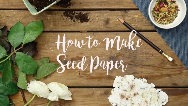 How to: Seed Paper | Visual Country