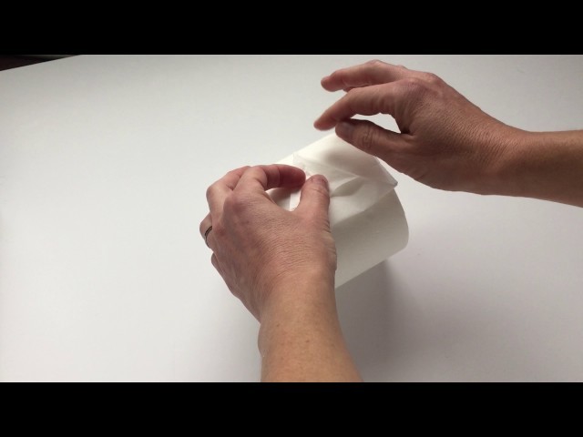 Origami Toilet Paper Sailboat