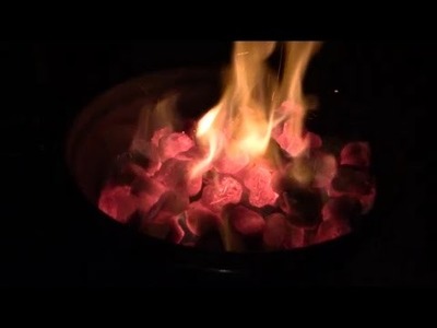 DIY CHARCOAL & CAMPFIRE STARTERS  ~ DRAGON STARTERS ~