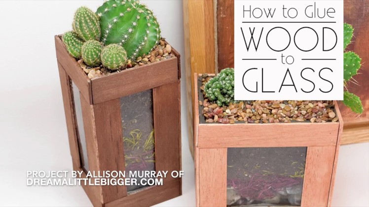 How to Glue Wood to Glass: DIY Terrariums