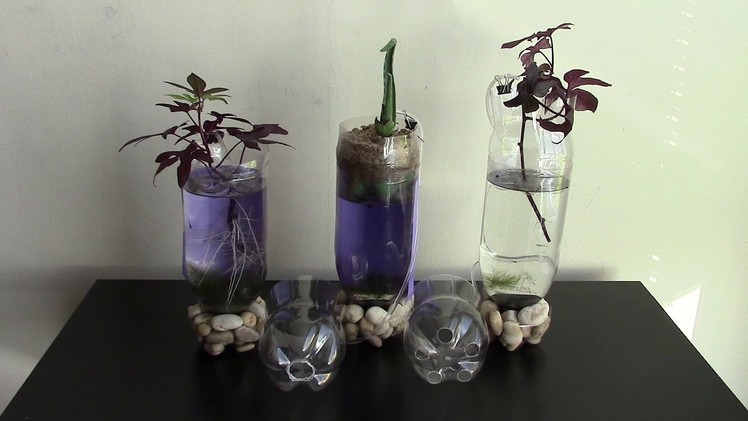 DIY Aquaponics planters of plastic bottle