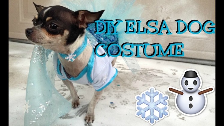 DIY ELSA DOG COSTUME