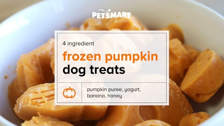 PetSmart Kitchen: DIY Frozen Pumpkin Dog Treats