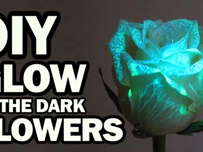 DIY Glow in the Dark Flowers - Man Vs Science #6