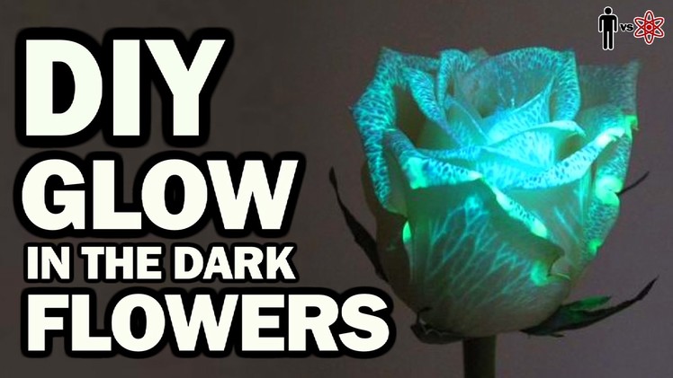 DIY Glow in the Dark Flowers - Man Vs Science #6