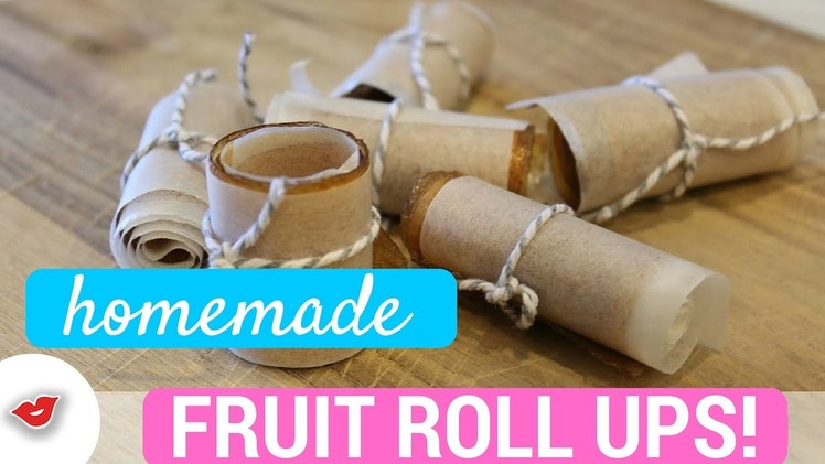 DIY Homemade Fruit Roll Ups! | Stephanie from Millennial Moms