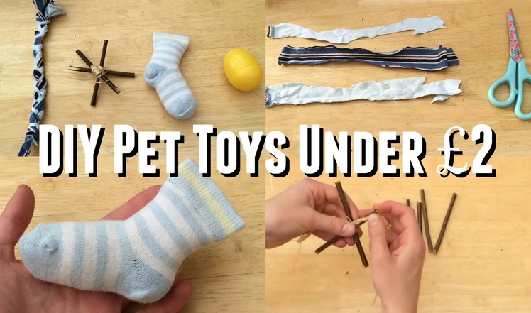 DIY Pet Toys Under £2 |♡Imy'sAnimals♡