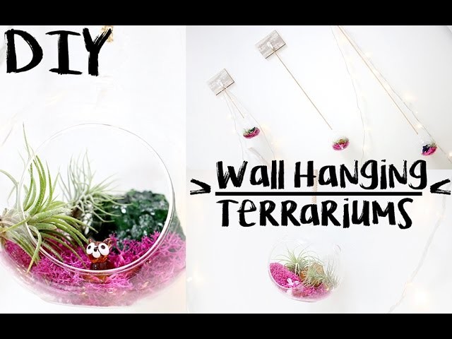 DIY: Wall Hanging Terrariums