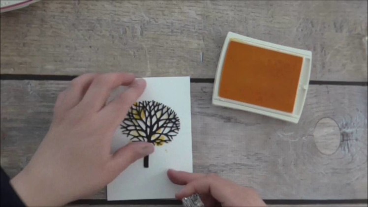 Stampin Up Thoughtful Branches Bundle Colour Splash Card