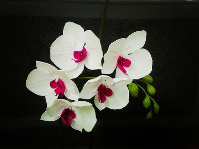 How To Make Phalaenopsis Orchid From Crepe Paper - Craft Tutorial