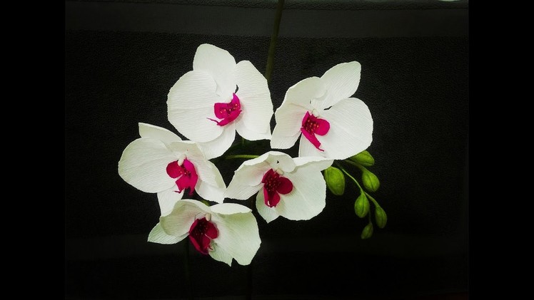 How To Make Phalaenopsis Orchid From Crepe Paper - Craft Tutorial