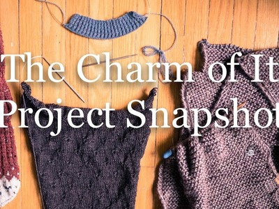 The Charm of It Knitting Podcast 34: Project Snapshot of Nov 25th