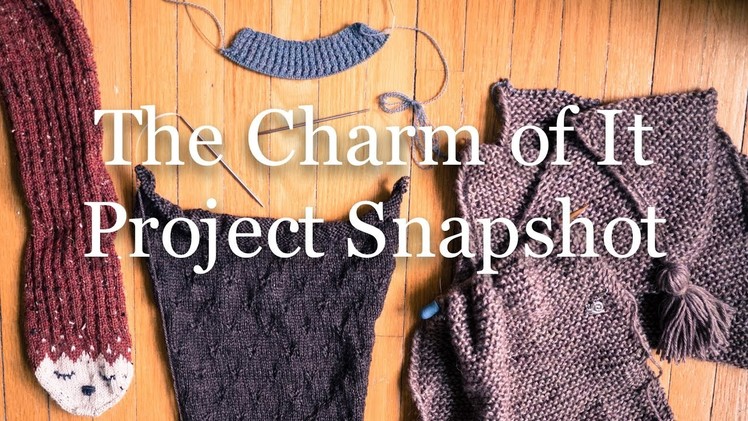 The Charm of It Knitting Podcast 34: Project Snapshot of Nov 25th