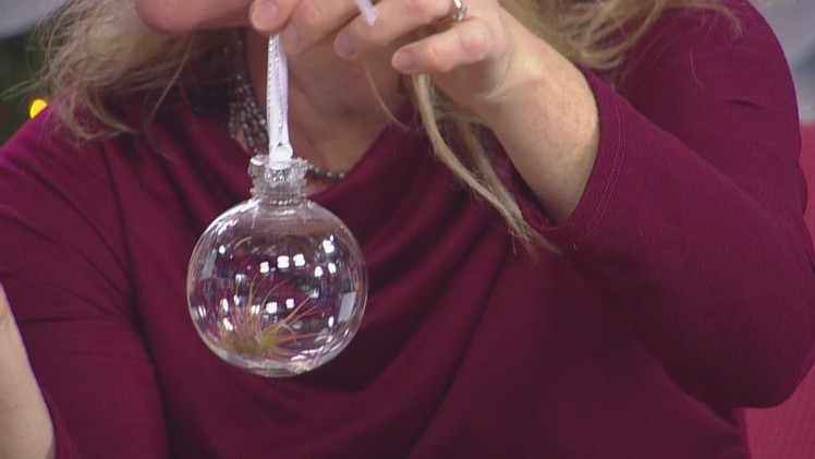 DIY Science Gifts For The Holiday