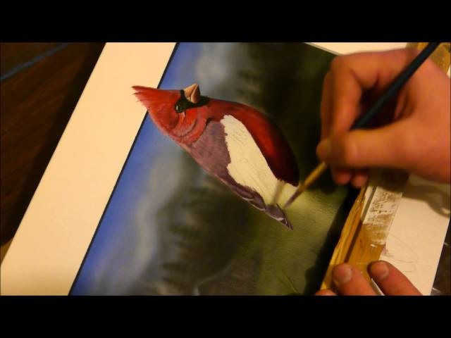 "3D Cardinal" Painting Time Lapse