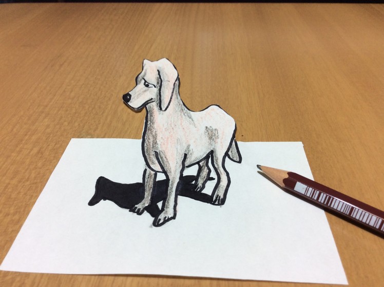 3D Puppy Dog Drawing, Freehand Time Lapse