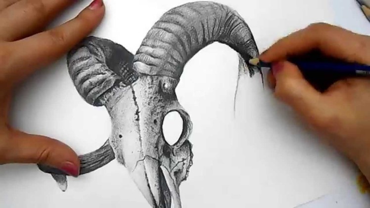 3D skull drawing