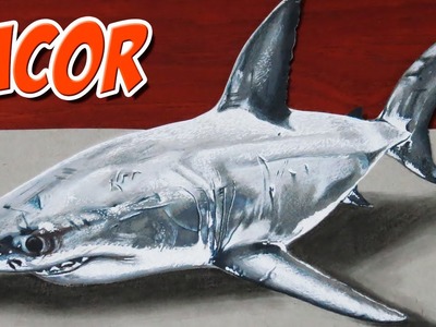 Drawing a 3D Shark - Anamorphic Drawing