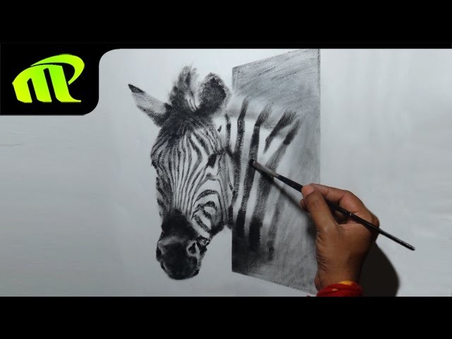 Drawing a 3D zebra |  Trick Art - Time Lapse