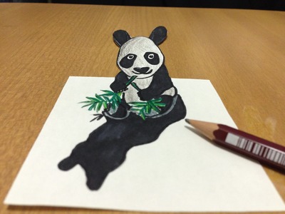Freehand 3D Panda Bear Drawing, Trick Art Anamorphic Illusion - Time Lapse