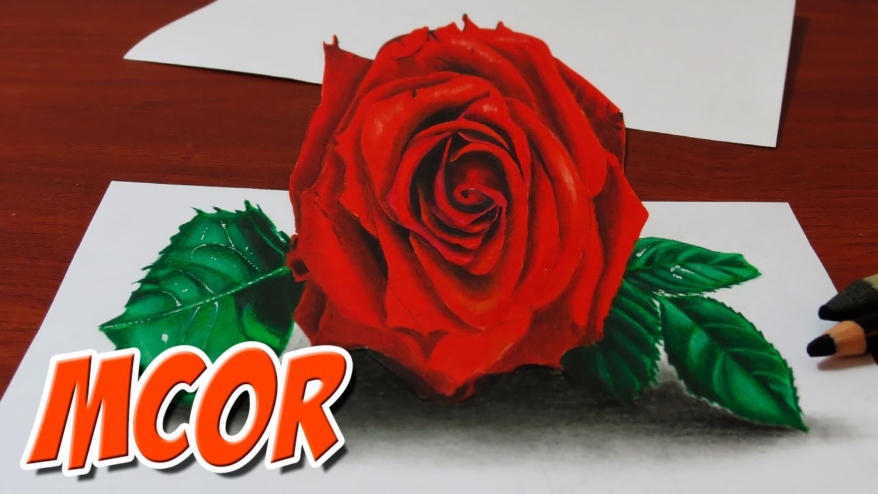 How to Draw a 3D Red Rose Anamorphic Drawing