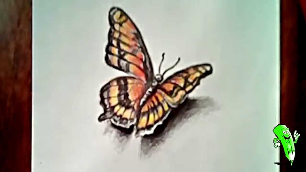 Download How To Draw A Butterfly 3d Drawing