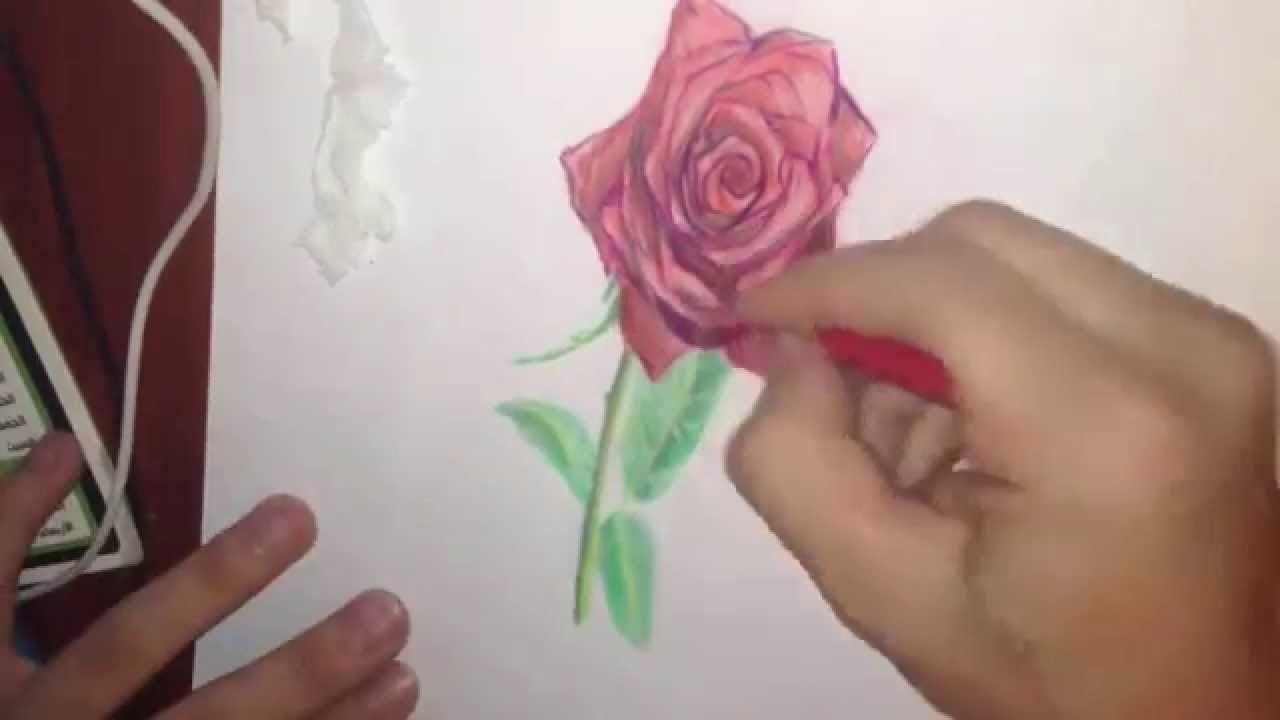 [How To Draw Channel] Drawing A 3D ROSE