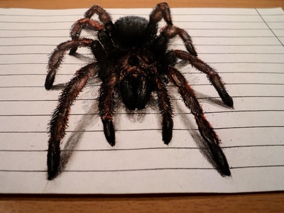 How to draw - realistic spider 3d illusion - anamorphic illusion