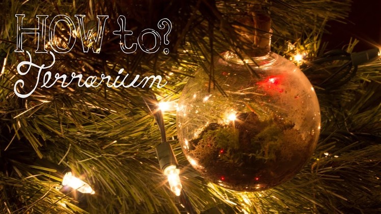 Make a Hanging.Ornament Terrarium - How To Terrarium ep.6 Christmas Edition
