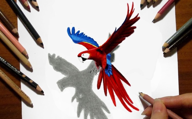 Time Lapse 3D Drawing: Flying Parrot