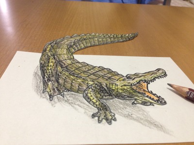 Trick Art Drawing 3D Crocodile - Anamorphic Illusion
