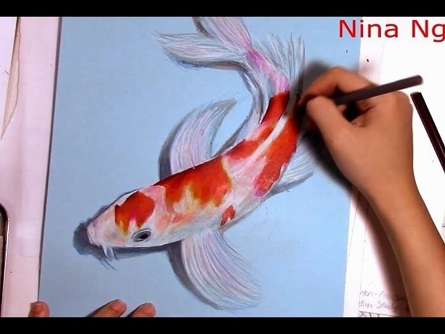 3D Art Drawing Koi Fish With Colored Pencil Demo (Kohaku)