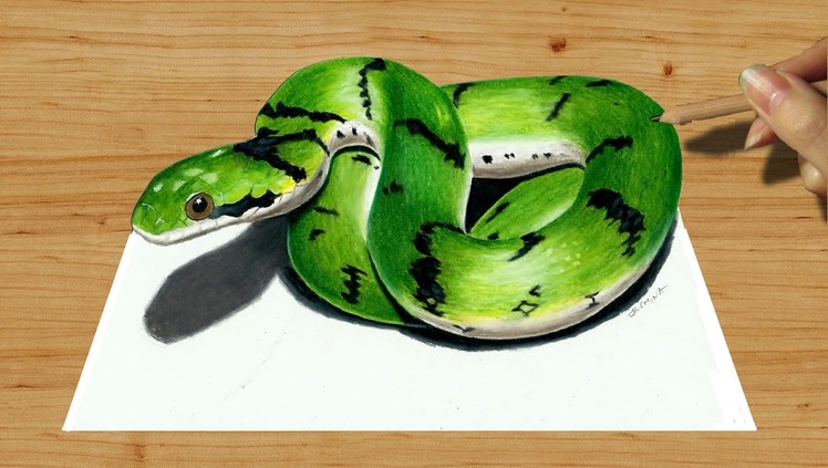 3D Colored Pencil Drawing: Cute Green Snake - Speed Draw | Jasmina Susak