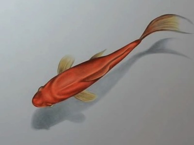 3D Drawing - Goldfish
