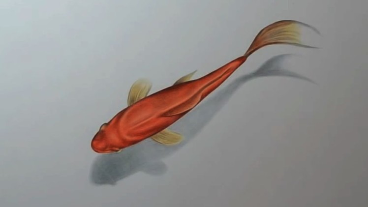 3D Drawing - Goldfish