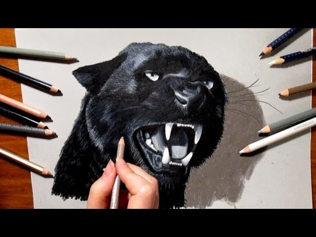 3D Pencil Drawing: Roaring Black Panther - Speed Draw | Jasmina Susak