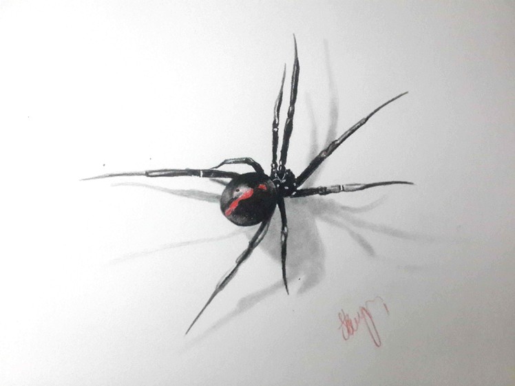 3D spider drawing