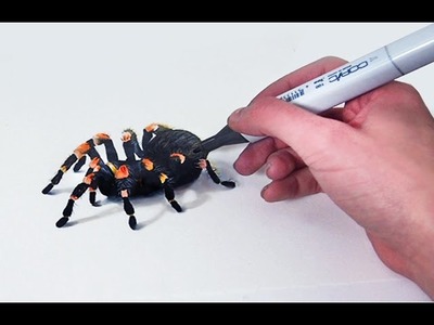 3D Tarantula - Anamorphic copic drawing