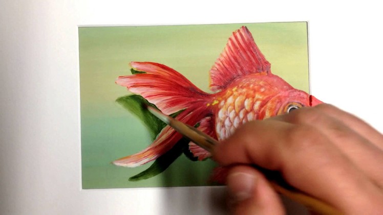 Best of 3d Art Illusion Paintings 3d Eka Peradze. Drawing Fish