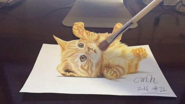 No.8 Speed Drawing 3D three-dimensional picture (a cute little kitty)