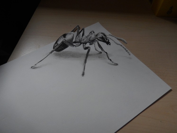 Speed Drawing HOW TO DRAW AN ANT 3D, Ameise zeichnen