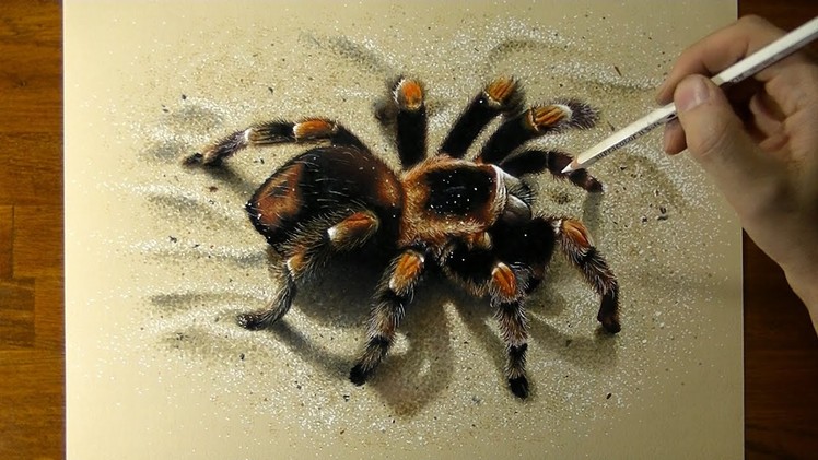 Drawing 3D Spider - How to draw 3D Art