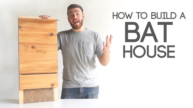 How To Build A Bat House | Modern Builds | EP. 41