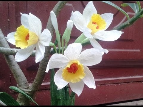 DIY   How to make Paper flower - Narcissus