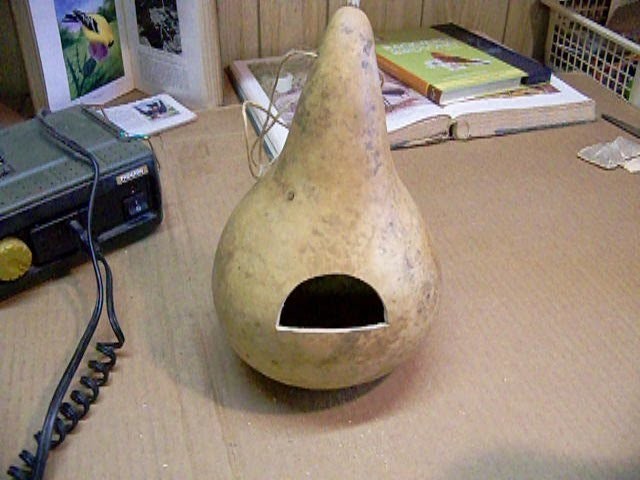 How to Make a Quick and Easy Gourd Birdhouse