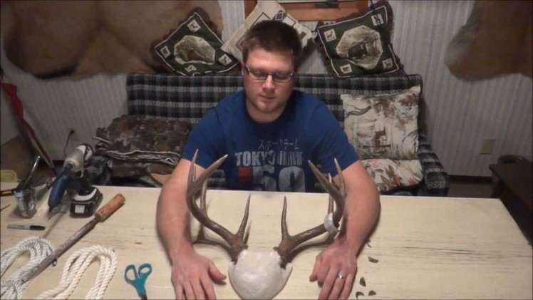How-to professionally plaque mount deer antlers - PT 2 of 2