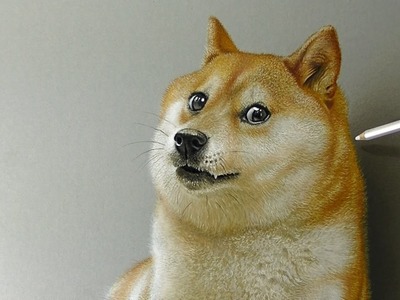 Wow! Doge dog meme 3D drawing