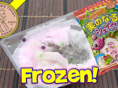 Meigum Mi No Naru Shake DIY Japanese Candy Kit