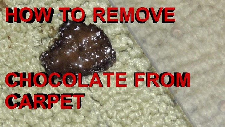 BEST Way to Remove Chocolate Ice Cream and Chocolate Syrup from Carpet