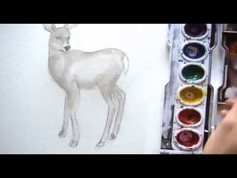 How to draw and paint a DEER in watercolor